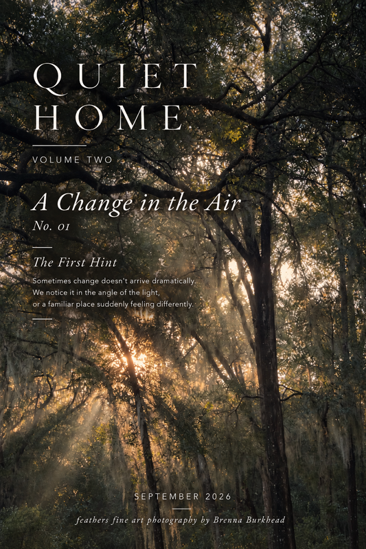 Change in the Air No. 1- The First Hint.