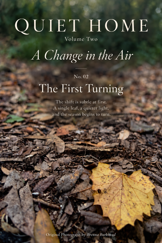 Change in the Air- No. 02 The First Turning.