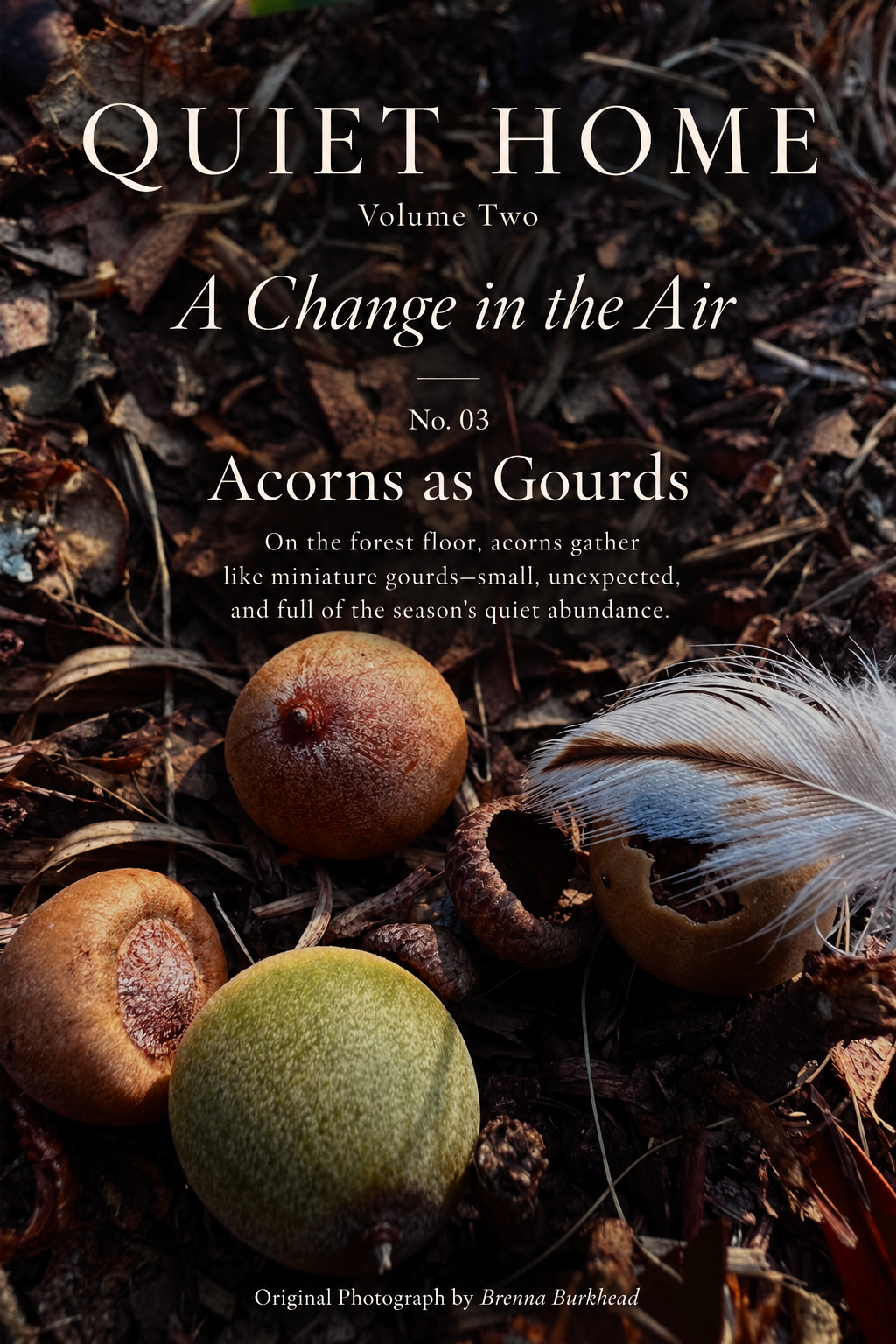 Change in the Air No3- Acorns as Gourds